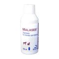 MALASEB Shampoo f.Hunde/Katzen